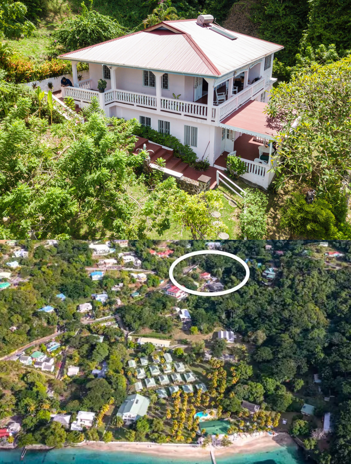 The Pink House