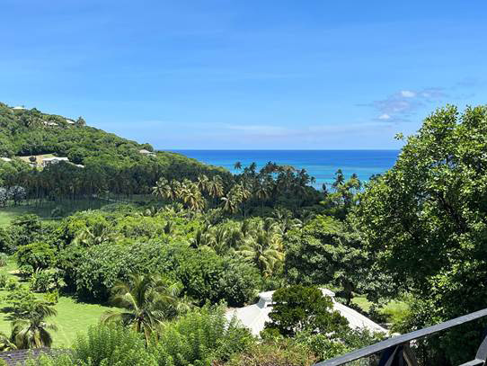 Spring
Estate View